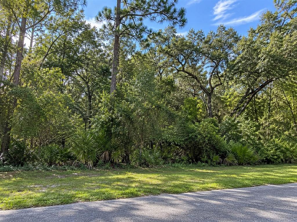 Property for sale at LITHIA PINECREST ROAD, VALRICO, FL, 33596