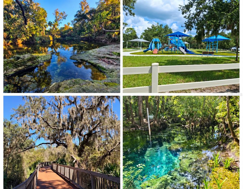 Property for sale at LITHIA PINECREST ROAD, VALRICO, FL, 33596