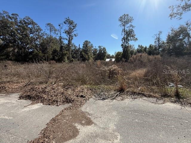 Property for sale at NE SEVENTEENTH AVENUE, TRENTON, FL, 32693
