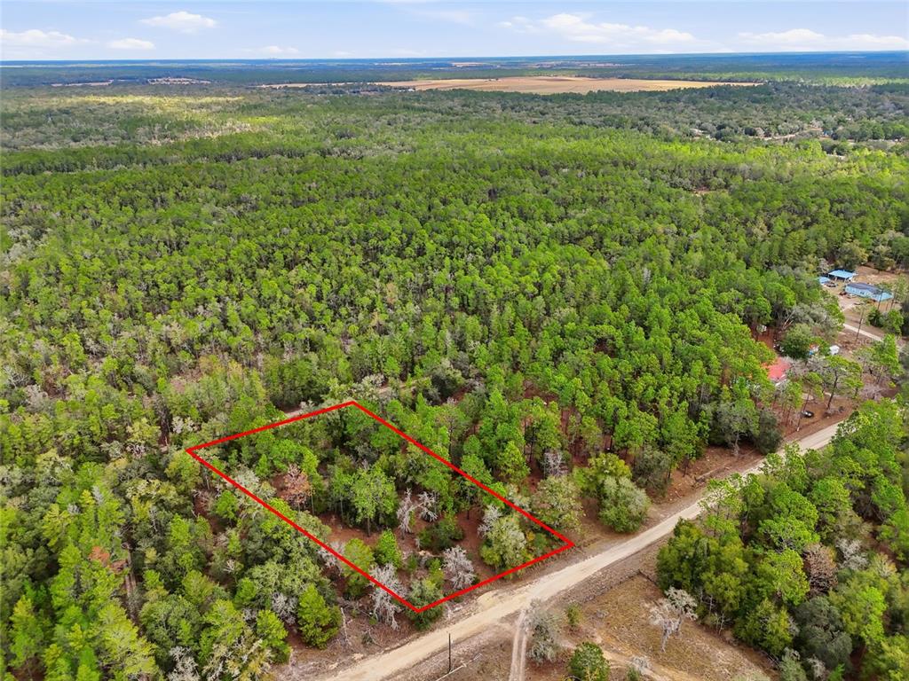 Property for sale at 00 NE 111TH LANE, BRONSON, FL, 32621