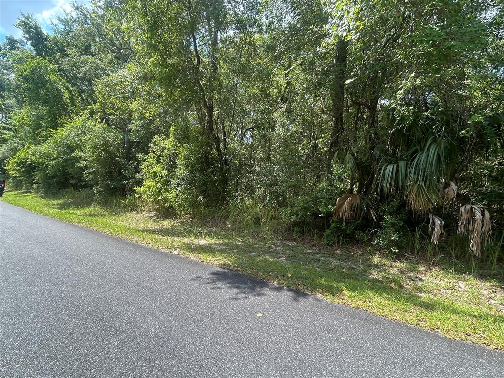 Property for sale at 3118 E DEAL STREET, INVERNESS, FL, 34453