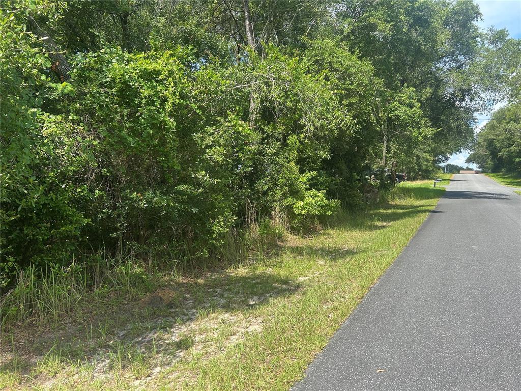 Property for sale at 3118 E DEAL STREET, INVERNESS, FL, 34453