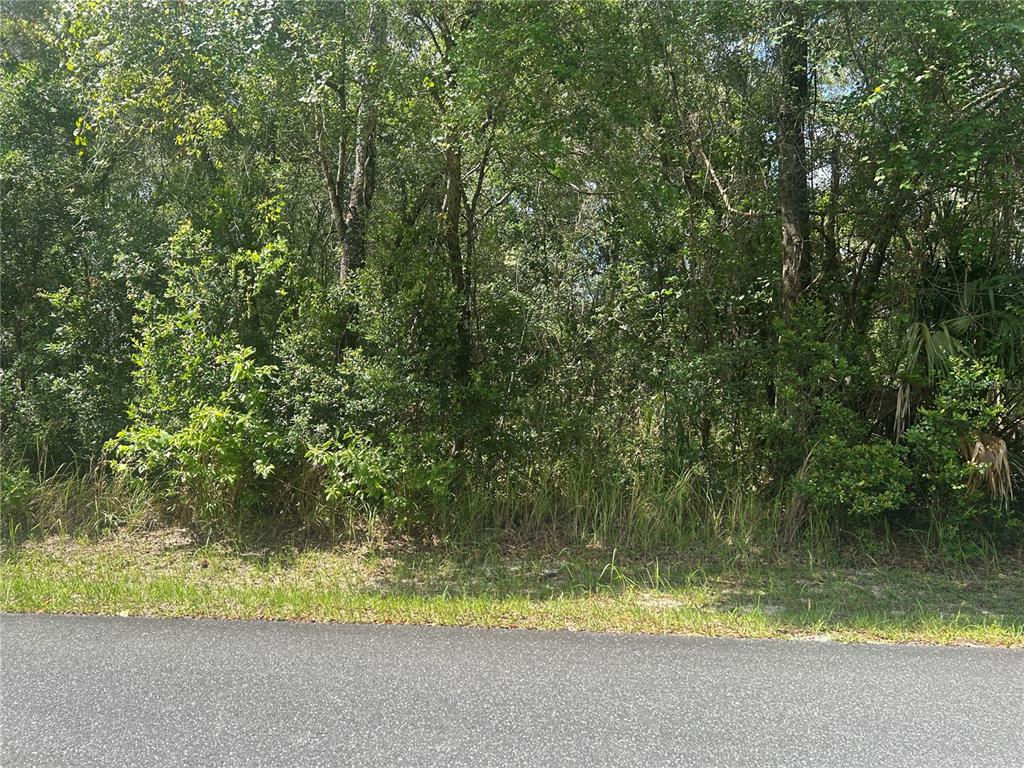 Property for sale at 3118 E DEAL STREET, INVERNESS, FL, 34453