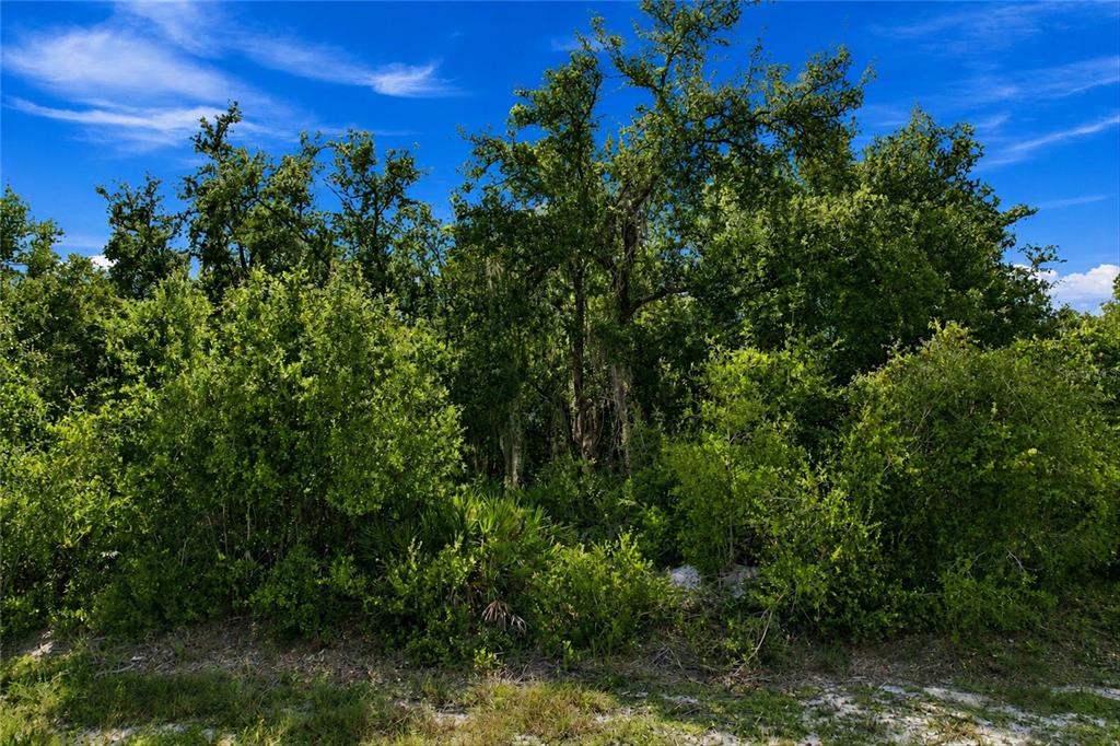 Property for sale at 151 RICHLAWN AVENUE, PUNTA GORDA, FL, 33982