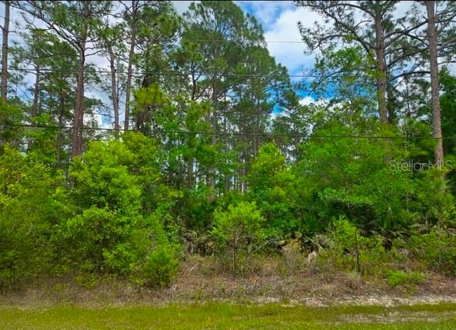 Property for sale at 1747 CANDLEBERRY STREET, BUNNELL, FL, 32110