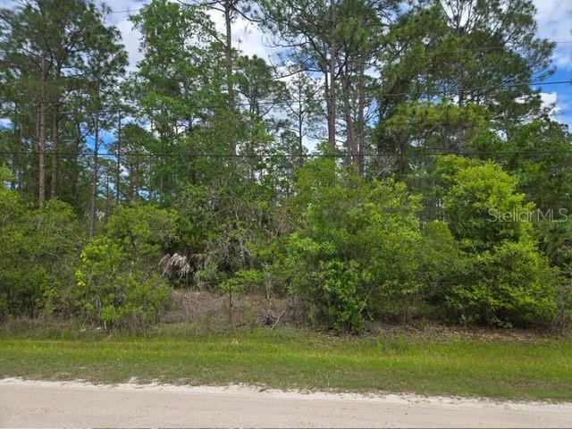 Property for sale at 1747 CANDLEBERRY STREET, BUNNELL, FL, 32110