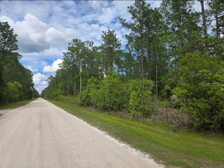 Property for sale at 1747 CANDLEBERRY STREET, BUNNELL, FL, 32110