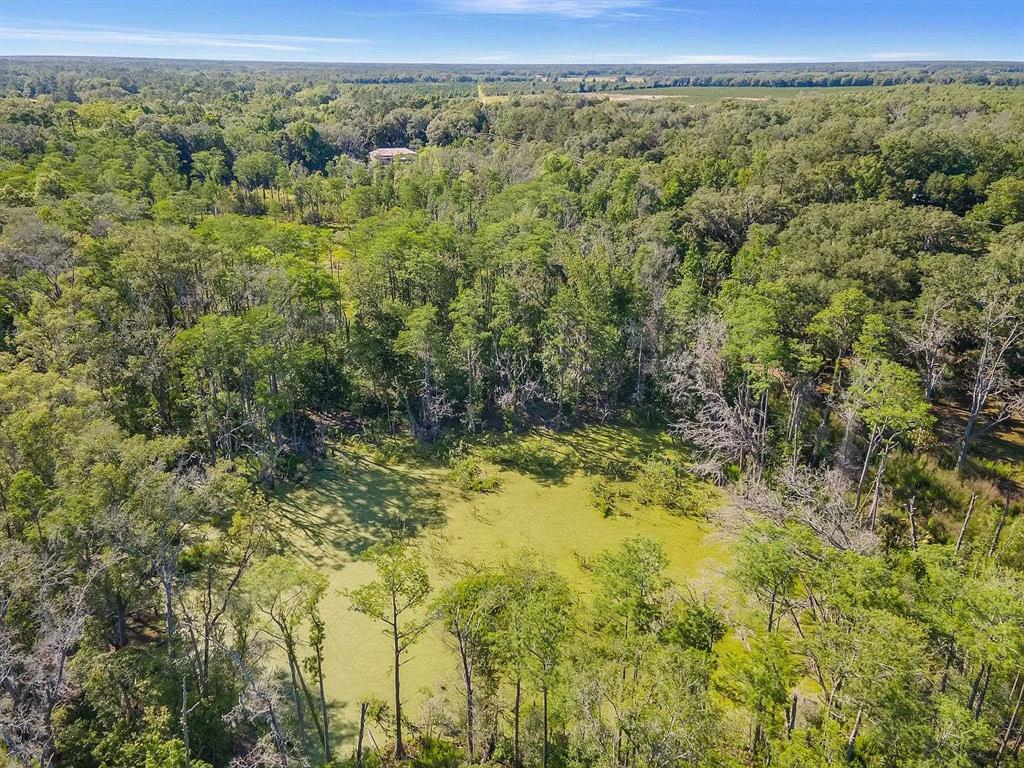 Property for sale at 2000 MIXON ROAD, PERRY, FL, 32348