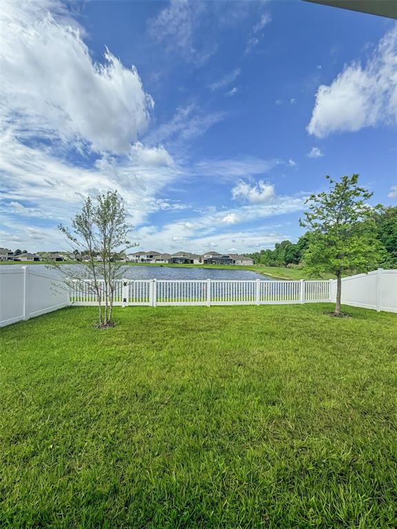 Pond Views
