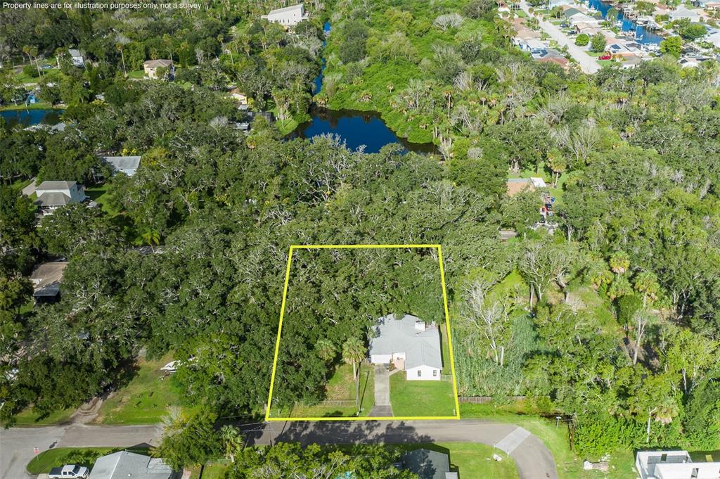 Property for sale at 4715 NEEDLE PALM DRIVE, NEW PORT RICHEY, FL, 34652