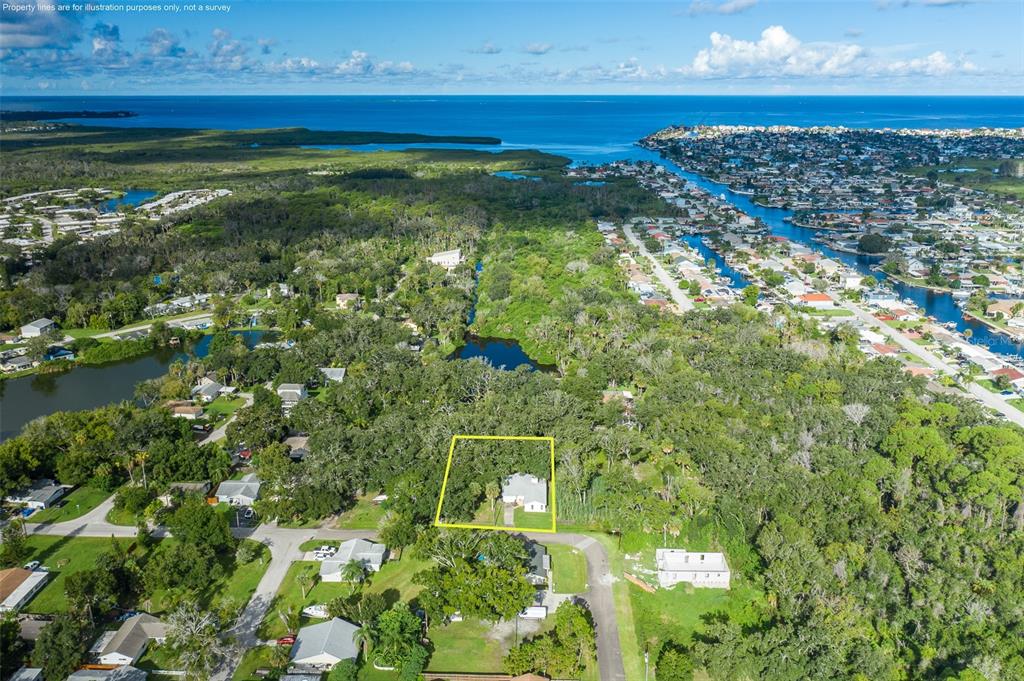 Property for sale at 4715 NEEDLE PALM DRIVE, NEW PORT RICHEY, FL, 34652