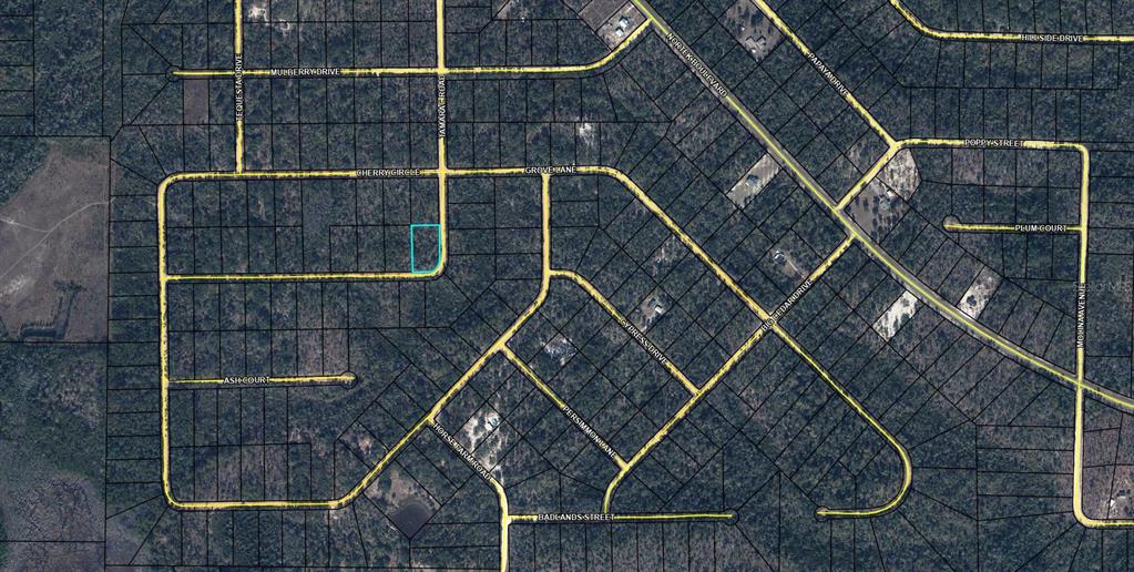 Property for sale at TBD TAMARAC ROAD, MARIANNA, FL, 32448