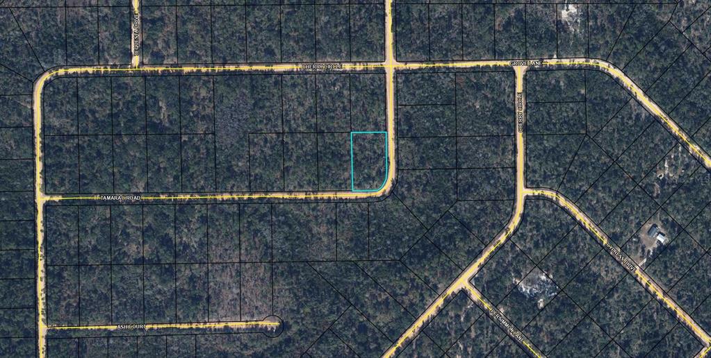 Property for sale at TBD TAMARAC ROAD, MARIANNA, FL, 32448