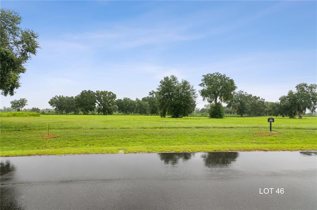 Lot 46