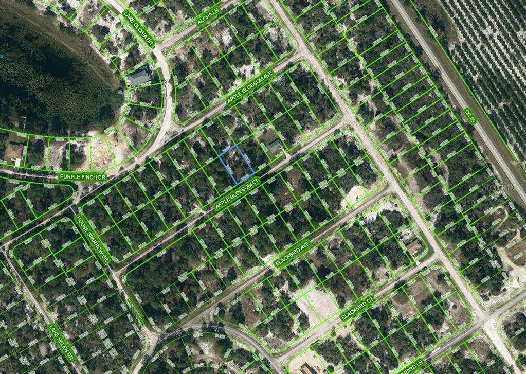 Property for sale at 448 APPLE BLOSSOM COURT, LAKE PLACID, FL, 33852