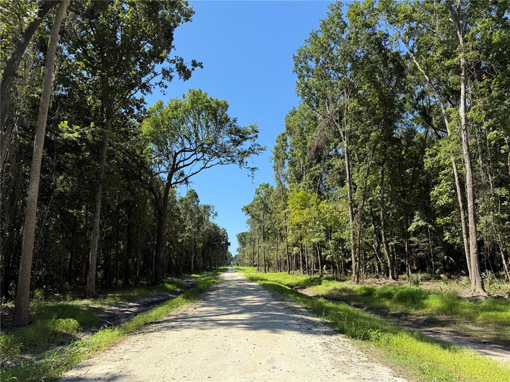 Property for sale at DR #8 (10ac) NW 193RD ST, MICANOPY, FL, 32667
