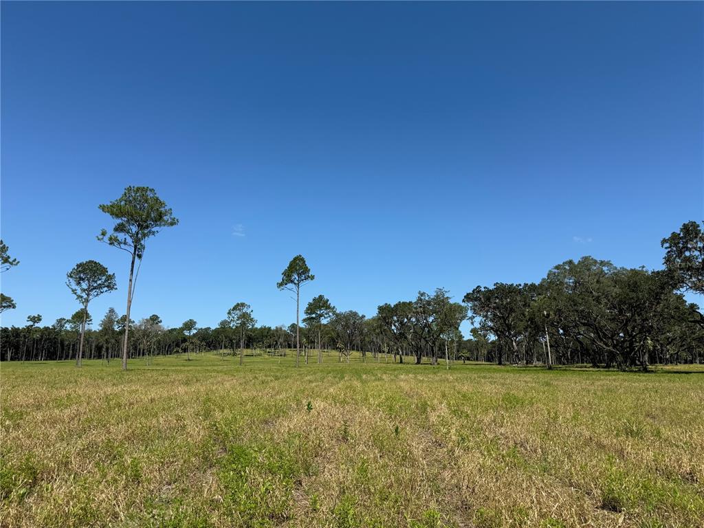 Property for sale at DR #8 (10ac) NW 193RD ST, MICANOPY, FL, 32667