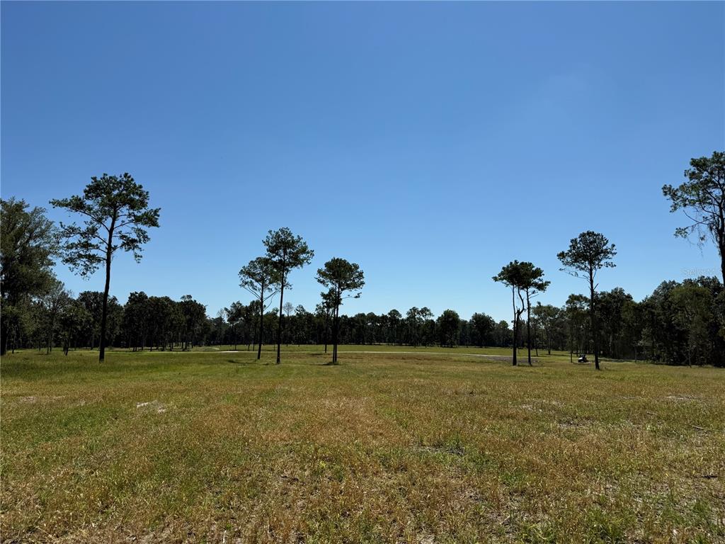 Property for sale at DR #8 (10ac) NW 193RD ST, MICANOPY, FL, 32667