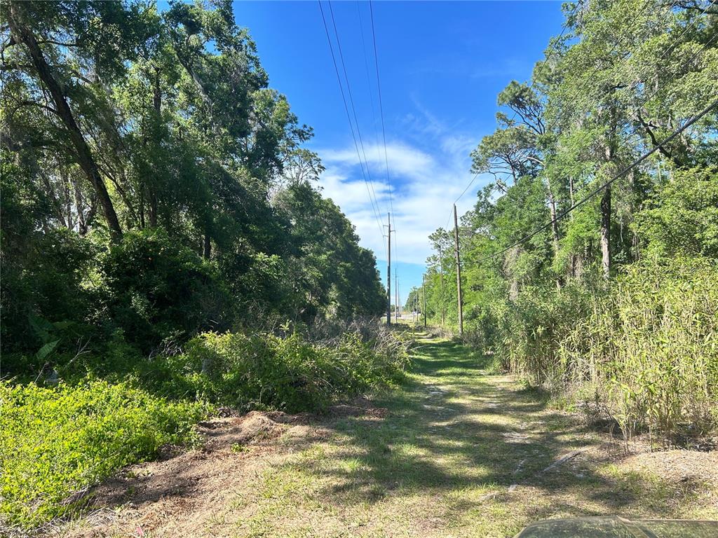 Property for sale at 9319 S FLORIDA AVENUE, FLORAL CITY, FL, 34436