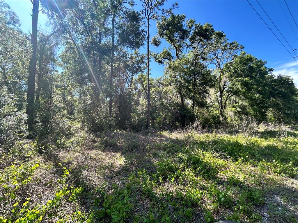 Property for sale at 9319 S FLORIDA AVENUE, FLORAL CITY, FL, 34436