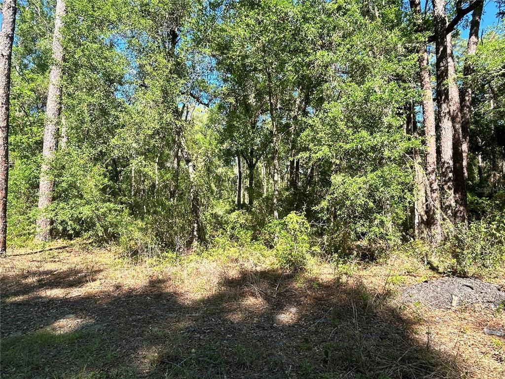 Property for sale at 9319 S FLORIDA AVENUE, FLORAL CITY, FL, 34436