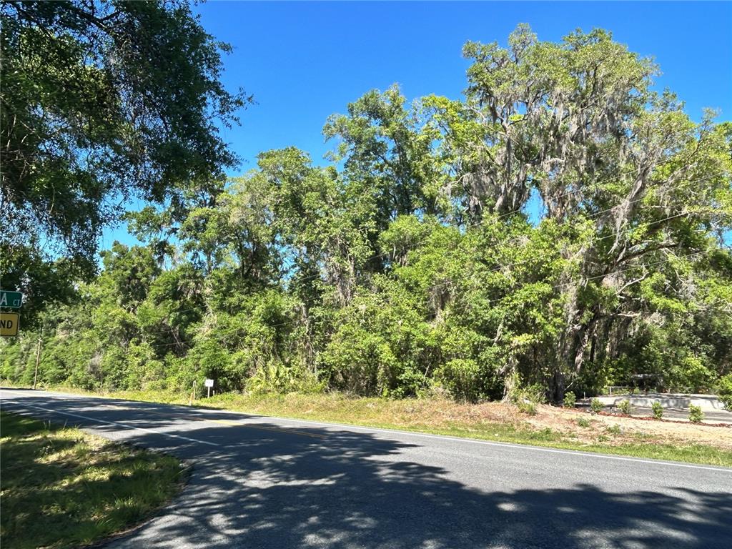 Property for sale at 9319 S FLORIDA AVENUE, FLORAL CITY, FL, 34436