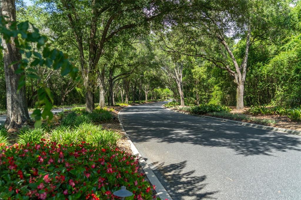 Property for sale at 4695 N PINE VALLEY LOOP, LECANTO, FL, 34461