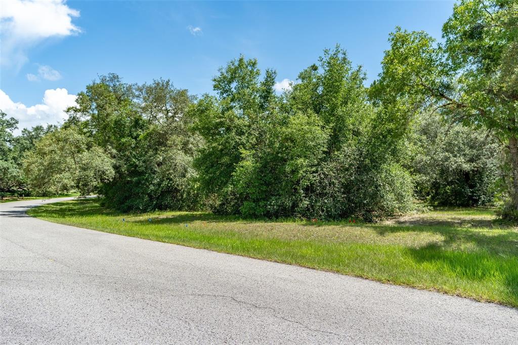 Property for sale at 4695 N PINE VALLEY LOOP, LECANTO, FL, 34461