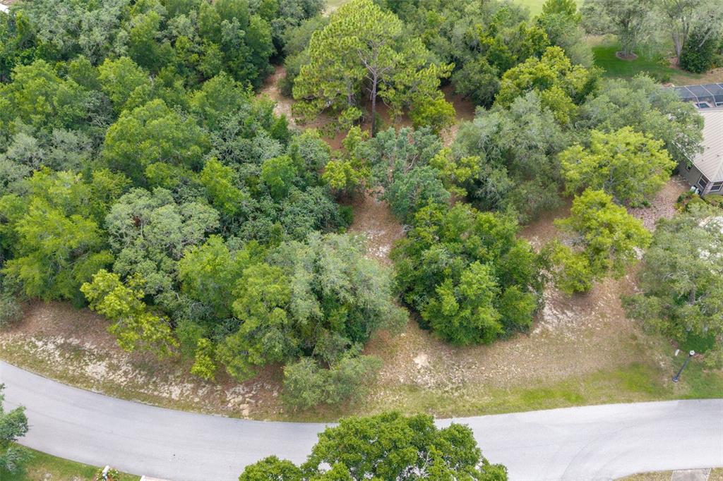 Property for sale at 4695 N PINE VALLEY LOOP, LECANTO, FL, 34461