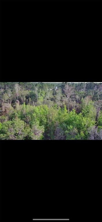 Property for sale at 4150 QUAIL NEST LANE, NEW SMYRNA BEACH, FL, 32168