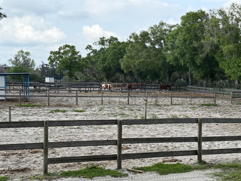 Property for sale at 16315 MCGLAMERY ROAD, ODESSA, FL, 33556