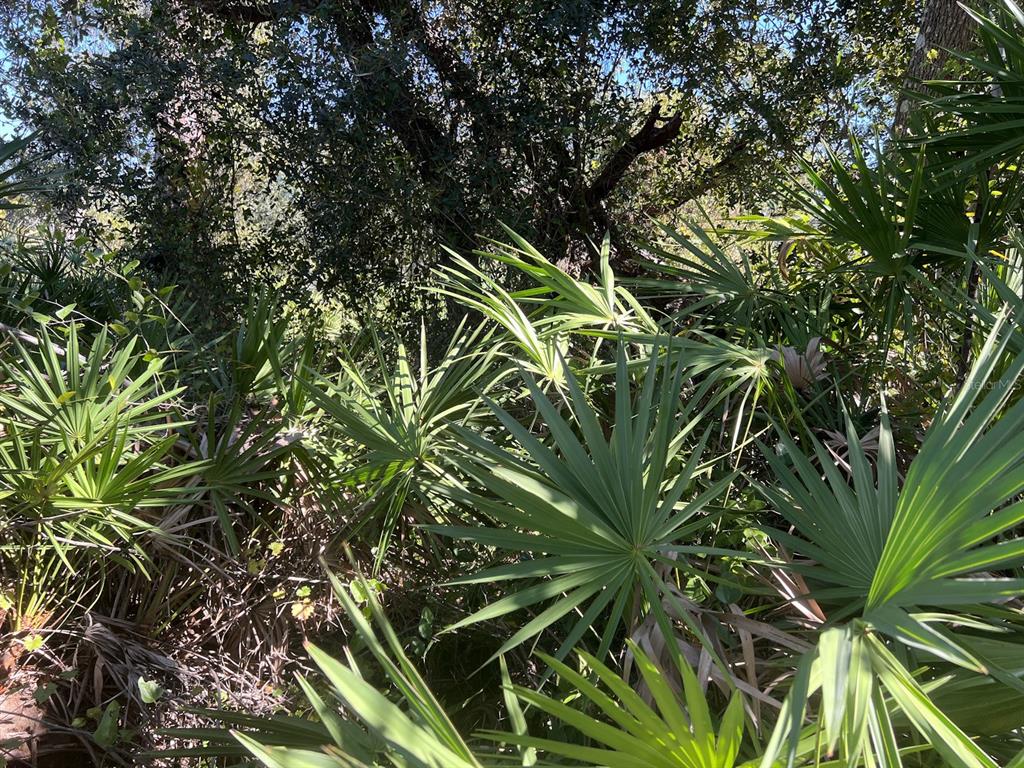 Property for sale at DE LEON DRIVE, NORTH PORT, FL, 34287