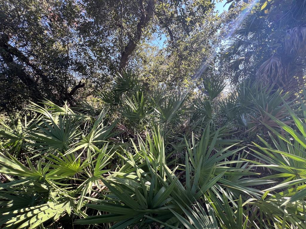Property for sale at DE LEON DRIVE, NORTH PORT, FL, 34287