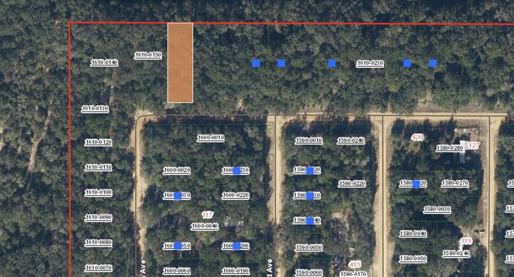 Property for sale at 00 SIGMAN STREET, INTERLACHEN, FL, 32148