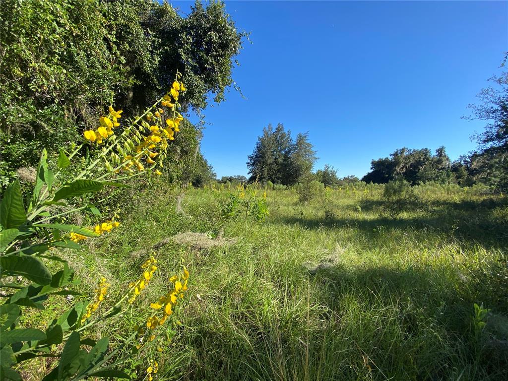 Property for sale at 7373 E SAVANNAH COURT, FLORAL CITY, FL, 34436