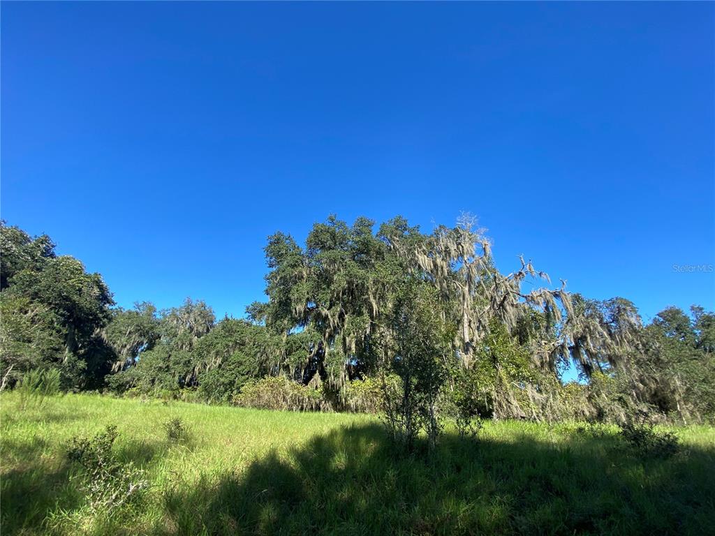Property for sale at 7373 E SAVANNAH COURT, FLORAL CITY, FL, 34436