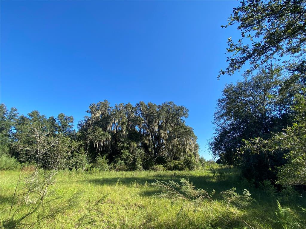 Property for sale at 7373 E SAVANNAH COURT, FLORAL CITY, FL, 34436