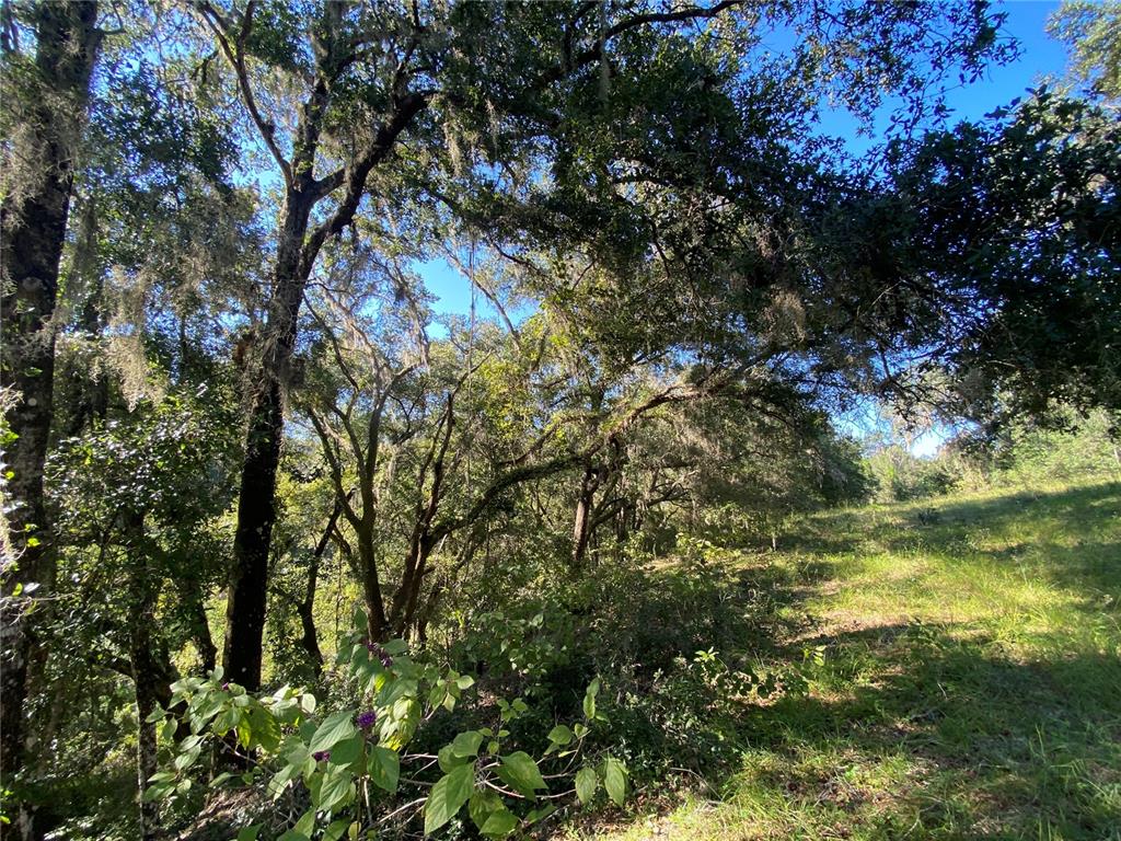 Property for sale at 7373 E SAVANNAH COURT, FLORAL CITY, FL, 34436