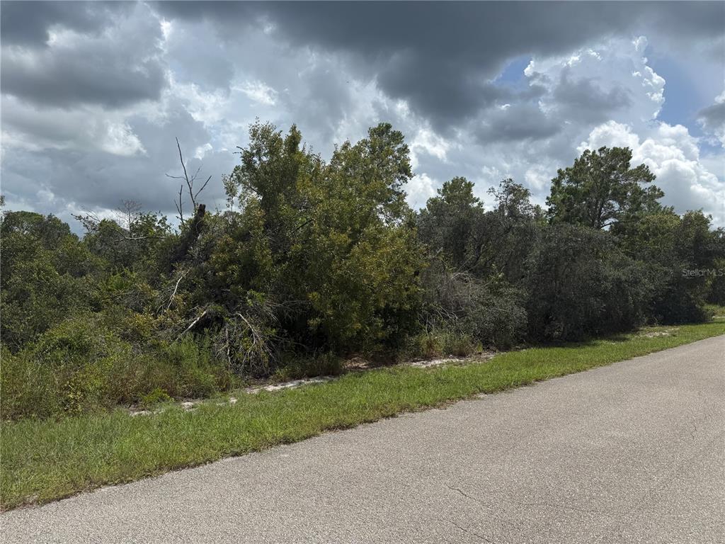 Property for sale at 208 FIJI WAY NE, LAKE PLACID, FL, 33852