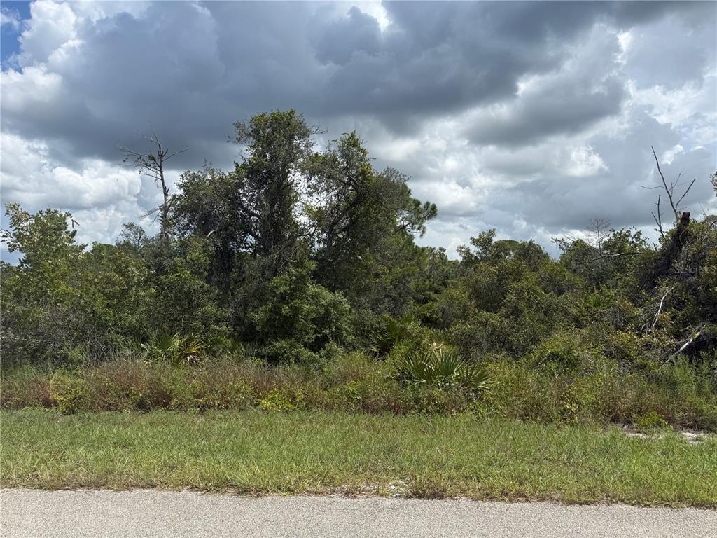 Property for sale at 208 FIJI WAY NE, LAKE PLACID, FL, 33852