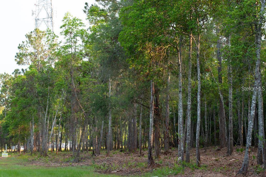 Property for sale at 53XX US HWY 1 N, BUNNELL, FL, 32110