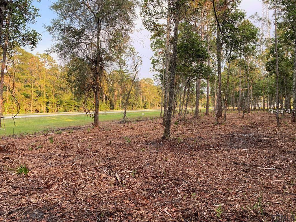 Property for sale at 53XX US HWY 1 N, BUNNELL, FL, 32110