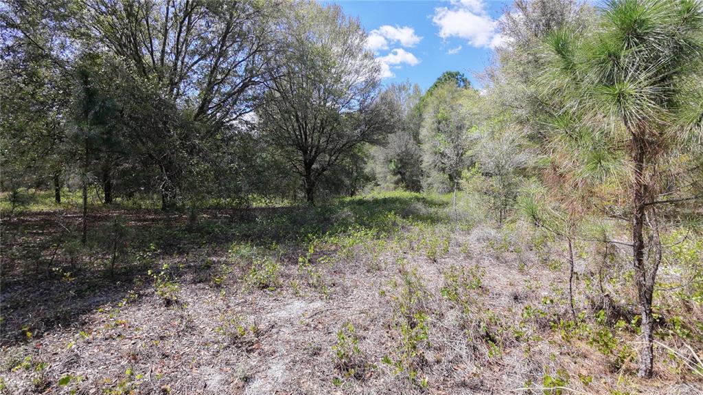 Property for sale at LOS ROBLES DRIVE, GROVELAND, FL, 34736