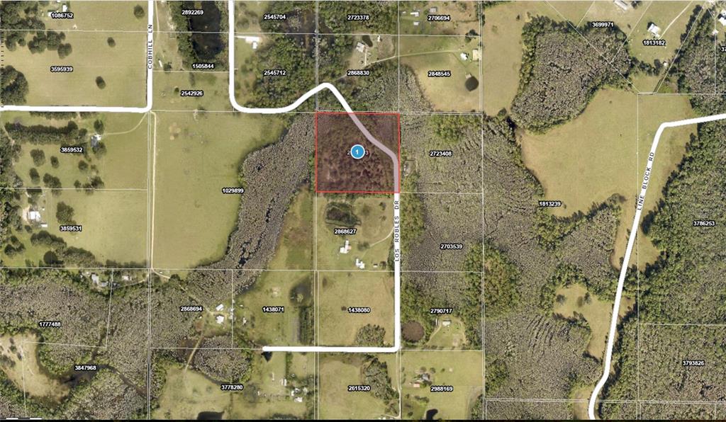 Property for sale at LOS ROBLES DRIVE, GROVELAND, FL, 34736