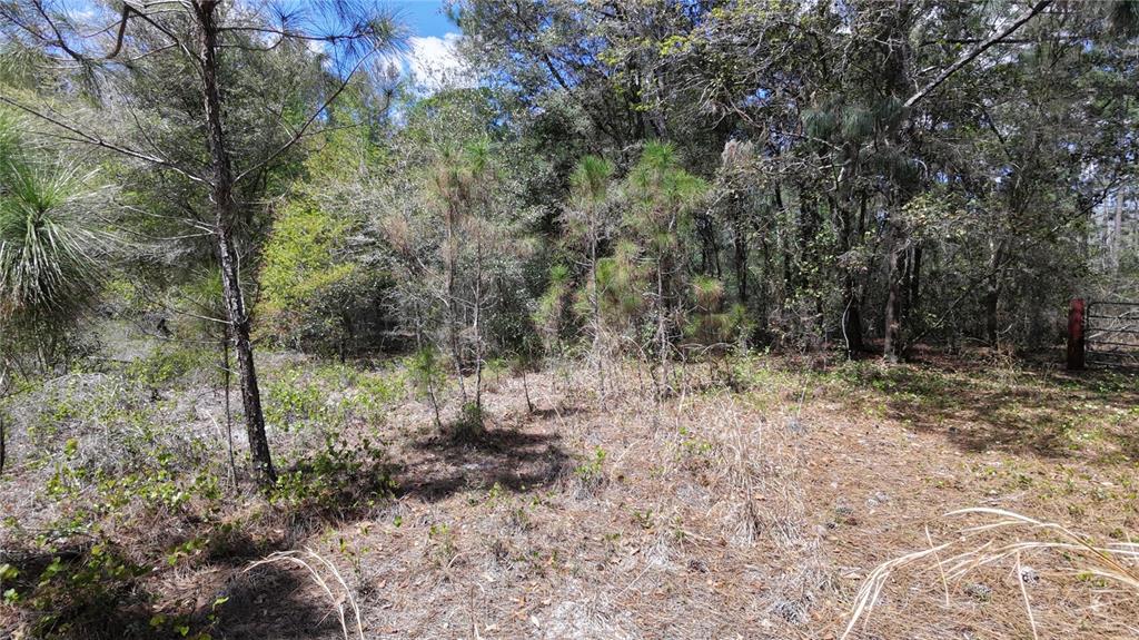Property for sale at LOS ROBLES DRIVE, GROVELAND, FL, 34736