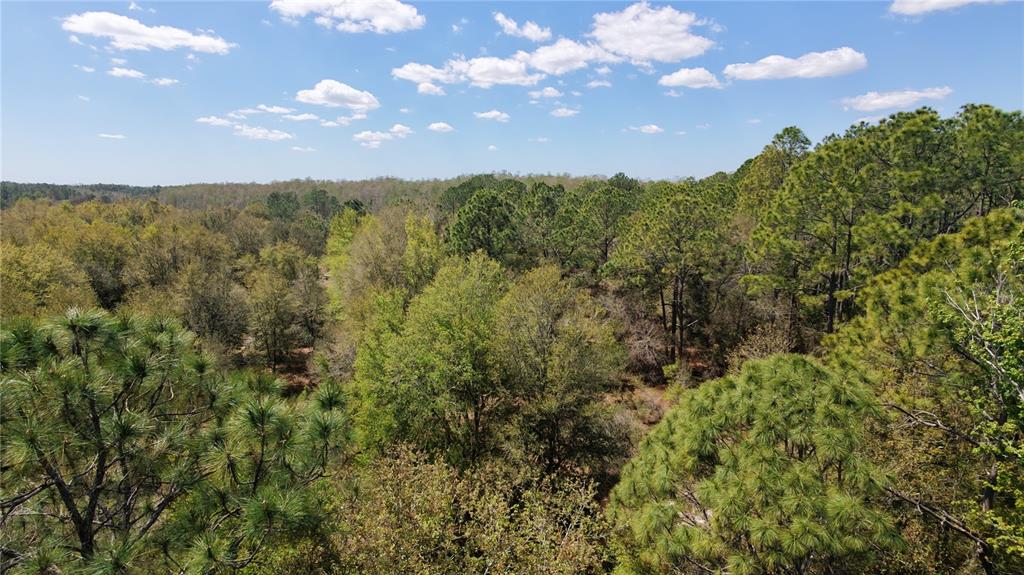Property for sale at LOS ROBLES DRIVE, GROVELAND, FL, 34736