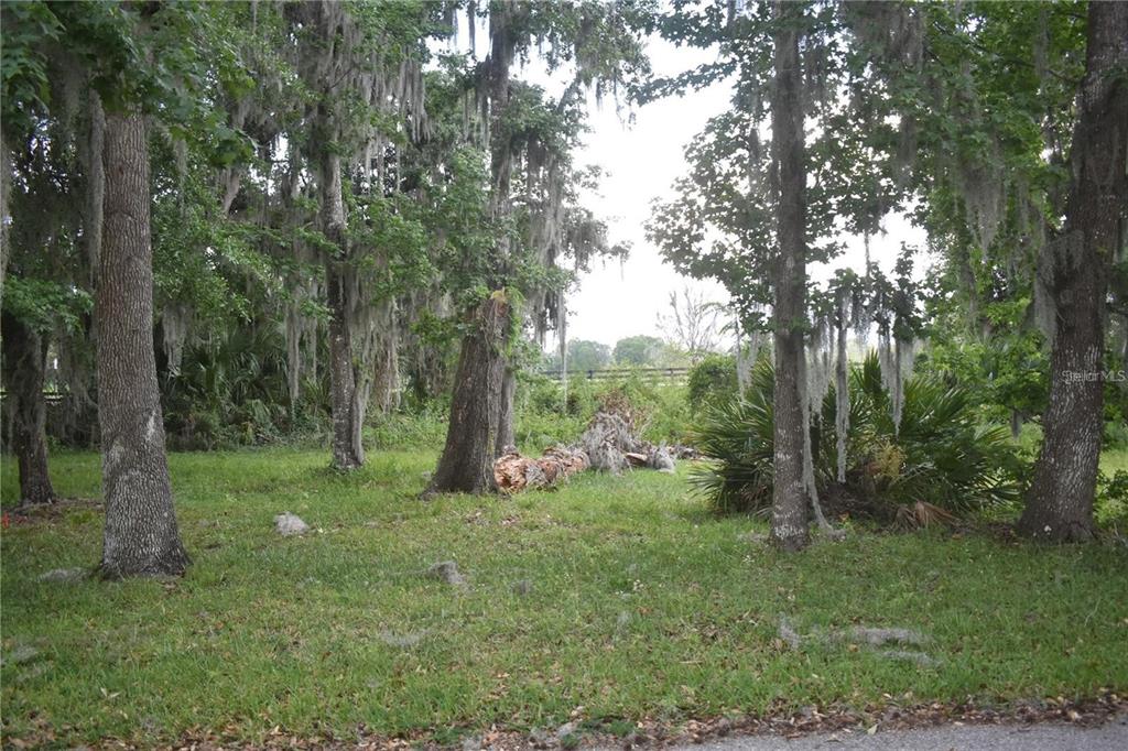 Property for sale at LOT 52 BLK C LEXINGTON- CIRCLE, WILDWOOD, FL, 34785