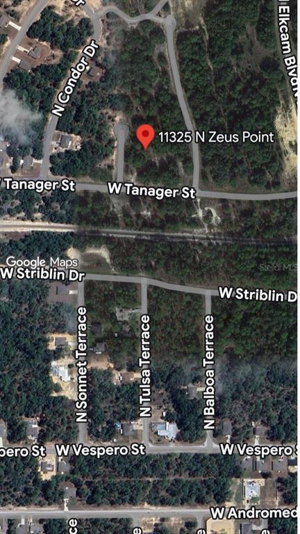 Property for sale at 11325 N ZEUS POINT, DUNNELLON, FL, 34433