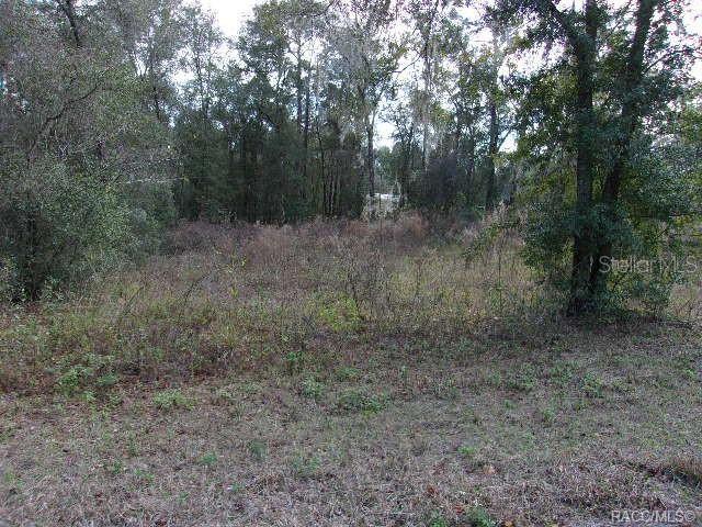 Property for sale at 6700 E HAYNES LANE, INVERNESS, FL, 34452