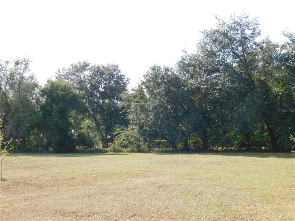 Property for sale at 2460 NW GARVIN AVENUE, ARCADIA, FL, 34266